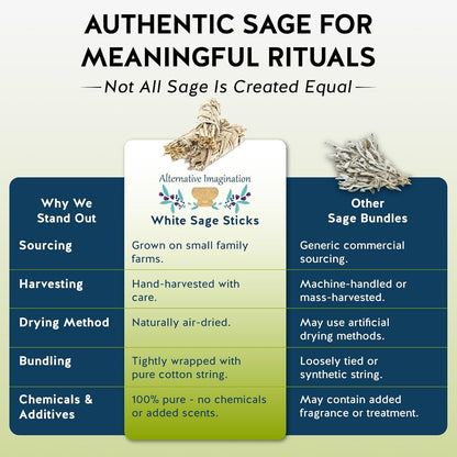 California White Sage Smudge Sticks - 3-Pack of 6-Inch Bundles for Home Cleansing,Energy Clearing, Meditation, Witchcraft, Spiritual Gifts,Altar & Smudging- Packaged in the USA